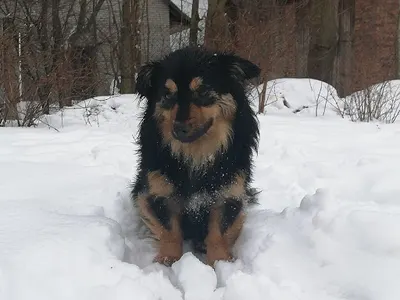 Przychodnia Weterynaryjna ANVET Beata Pawliszyn